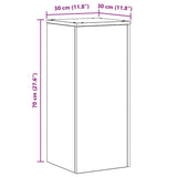 Plant Stand 2 pcs Black Oak 30 x 30 x 70 cm Engineered Wood 869232