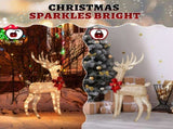 3-Piece Lighted Christmas Reindeer Set Outdoor Decorations, Weather Proof Sparkling Deer 82158509