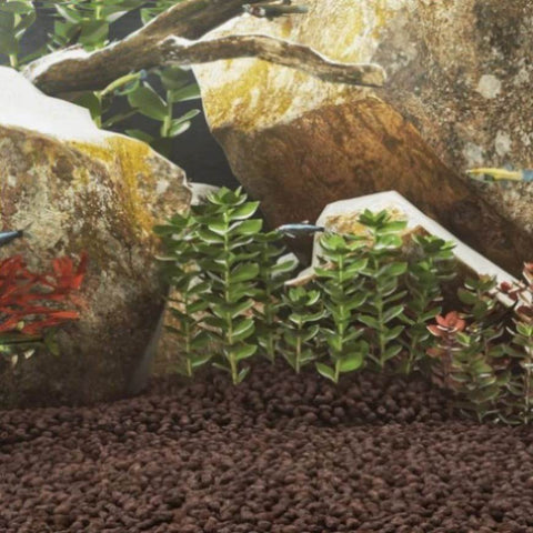 Volcanic Rocks 25 kg Red 5-8 mm 155310