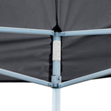 Party Tent Folding Anthracite 291 x 580 x 315 cm Oxford Fabric 42023653