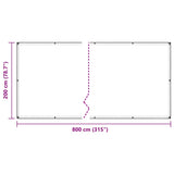 Clear Tarpaulin with Eyelets 2x8 m Polyethylene 4018508