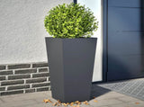 Garden Planters Anthracite 2 pcs 35x35x75 cm Steel 851085