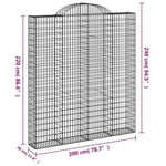 Arched Gabion Basket 200x30x220/240 cm Galvanised Iron 153491