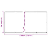Clear Tarpaulin with Eyelets 2x12 m Polyethylene 4018510
