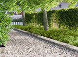 Lawn Edging 10 pcs 102 x 15 x 4 cm Steel Silver 8008778