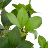 Artificial Plant Laurel Tree with Pot Green 90 cm 280178