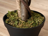 160cm/5.2FT Artificial Ficus Silk Tree with Nursery Pot, Decorative Fake Plant, for Indoor Outdoor T3398P342373