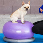 ZNTS FitPAWS Pet Balance Ball TRAX Donut 55 cm Purple 428432