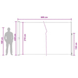 Retractable Side Awning Taupe 600 x 220 cm Polyester 42035385