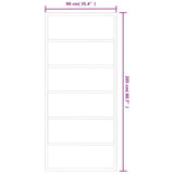 Sliding Door with Hardware Set ESG Glass&Aluminium 90x205 cm 3081952