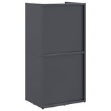 Firewood Rack Anthracite 40x30x80 cm Cold-rolled steel 864189