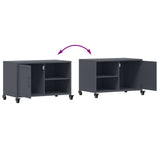 TV Cabinet Anthracite 68x39x43.5 cm Steel 846670