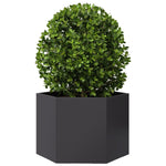 ZNTS Garden Planter Black Hexagon 69x60x45 cm Steel 851122