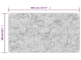 Rug Washable Anthracite 400x300 cm 136631