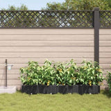 Garden Planter 4 pcs Black 160 x 40 x 22 cm PP 42002844