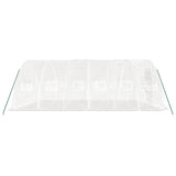 Greenhouse with Steel Frame White 30 m 6x5x2.3 m 3188095
