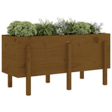 Garden Raised Bed Honey Brown 121x50x57 cm Solid Wood Pine 825229