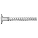 Confirmat Screws 5000 pcs Silver Metal 864378