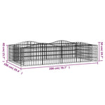 ZNTS Arched Gabion Raised Bed 200x100x50 cm Galvanised Iron 153550
