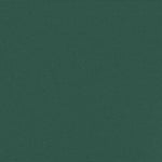 ZNTS Retractable Side Awning Dark Green 200x300 cm 4004365