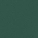 ZNTS Retractable Side Awning Dark Green 200x300 cm 4004365