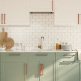 Cabinet Handles 20 pcs Bronze 224 mm Stainless Steel 3203664