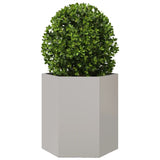 ZNTS Garden Planter Hexagon 46x40x45 cm Stainless Steel 851116