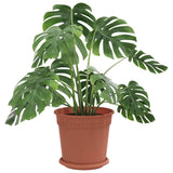Plant Pots 24 pcs Brick Red 19 x 16 cm Plastic 3403265