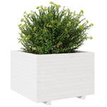 ZNTS Garden Planter White 70x70x49.5 cm Solid Wood Pine 3282525