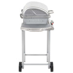 Gas BBQ Grill with 2 Cooking Zones Silver Stainless Steel 44274