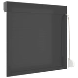 Roller Shutter Manual Anthracite 100 x 100 cm 42047065