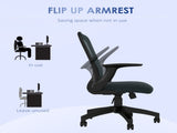 Ergonomic Office Chair, Mesh Desk Chair with Flip-up Armrest, Lumbar Back Support, Swivel Wheels, T3398P342374