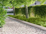 Lawn Edging 10 pcs 103 x 25 cm Steel Silver 8008498