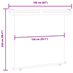 ZNTS Balcony Side Awning 165x250 cm Blue 48432