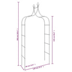 ZNTS Garden Arches 2 pcs Black 120x38x260 cm Steel 319349