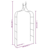 ZNTS Garden Arches 2 pcs Black 120x38x260 cm Steel 319349