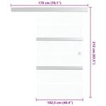 ZNTS Sliding Door ESG Glass and Aluminium 102.5x205 cm Silver 288060