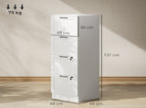 4 Drawer Filing Cabinet with Lock, Office Storage Cabinet with Adjustable Hanging Bars for A4 Letter T3398P425016