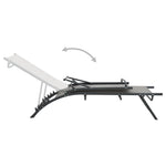 Sun Loungers 2 pcs Textilene and Steel 47848