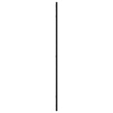 Wall Mirror Black 60x100 cm Rectangle Iron 358631