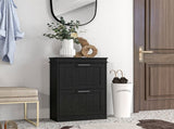 Two-Drawer Minimalistic 10-Shoe Cabinet - Black T3398P423894