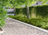 Lawn Edging 10 pcs 103 x 15 cm Steel White 8008648
