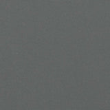 Retractable Side Awning Anthracite 100x600 cm 4004583