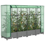 ZNTS Raised Bed with Greenhouse Cover Rattan Look 160x40x123 cm 4015854