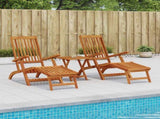 Reclining and Folding Sunlounger 2 pcs 55 x 146 x 91 cm 42025006