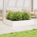 Garden Planter White 110x110x23 cm Solid Wood Pine 847214