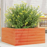 Garden Planter Wax Brown 50x50x23 cm Solid Wood Pine 847185