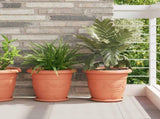 Plant Pots 24 pcs Brick Red 34 x 28 cm Plastic 3403283