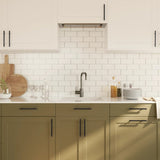 Cabinet Handles 20 pcs Black 128 mm Stainless Steel 3203605