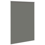 ZNTS Roller Blind Blackout Grey 165x210 cm Fabric Width 161.6 cm Polyester 4011193